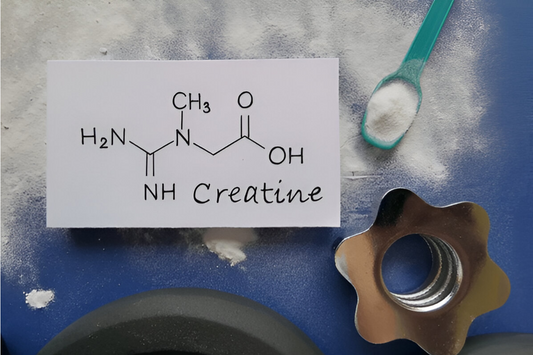 Micronized Creatine Monohydrate supplement to support muscle performance and growth